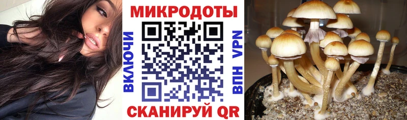 Псилоцибиновые грибы мицелий Ужур